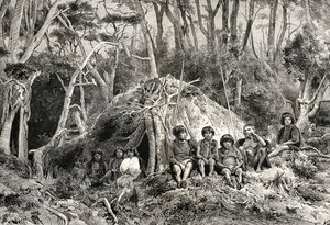The Fuegians and their wigwams, from 